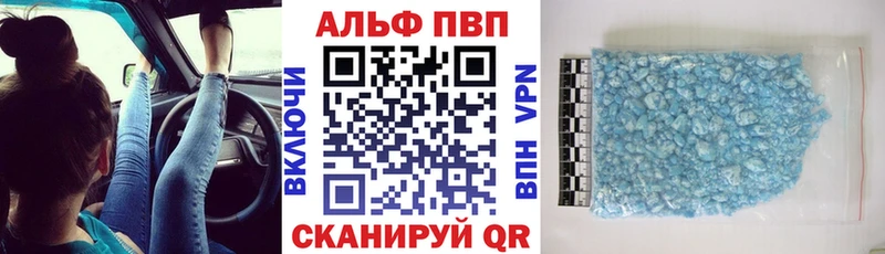 ссылка на мегу сайт Западная Двина APVP СК