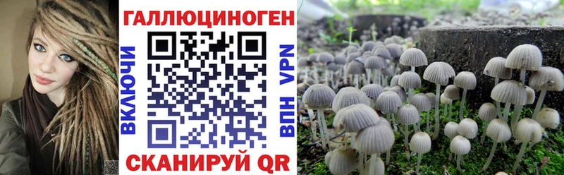 Псилоцибиновые грибы ЛСД  Западная Двина 